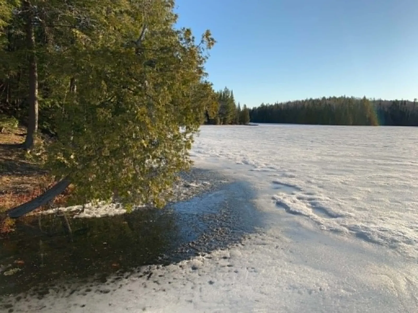 Le lac au printemps